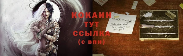 мдма Няндома