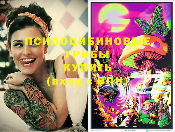 мдма Няндома