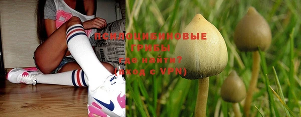PSILOCYBIN Нягань