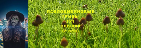 PSILOCYBIN Нягань