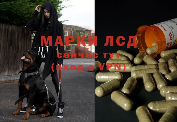 MDMA Богородицк