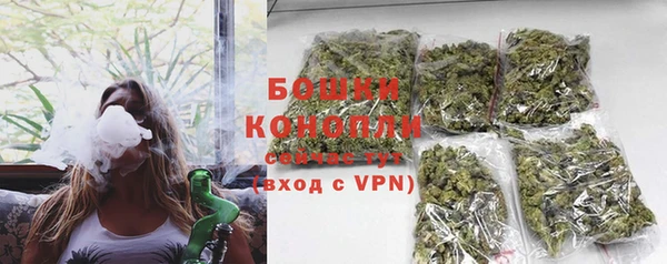 PSILOCYBIN Нягань