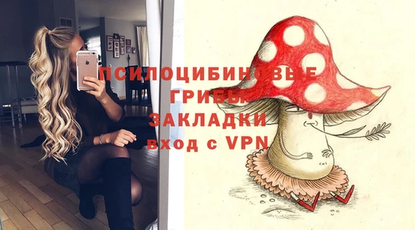 мдма Няндома