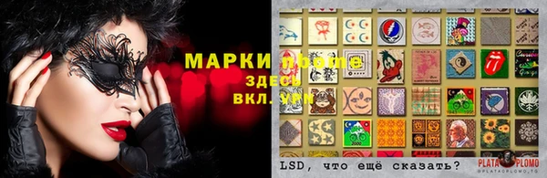 PSILOCYBIN Нягань