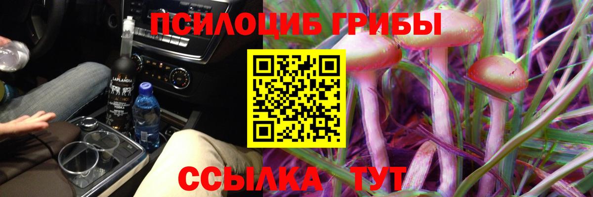 Галлюциногенные грибы Magic Shrooms  даркнет сайт  Ярцево  Псилоцибиновые грибы GOLDEN TEACHER 
